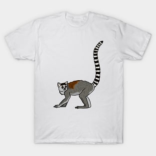 Ring Tailed Lemur T-Shirt